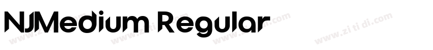 NJMedium Regular字体转换